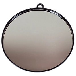 Trina Oval El Aynası 0009